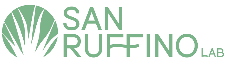 SanRuffinoLab.com
